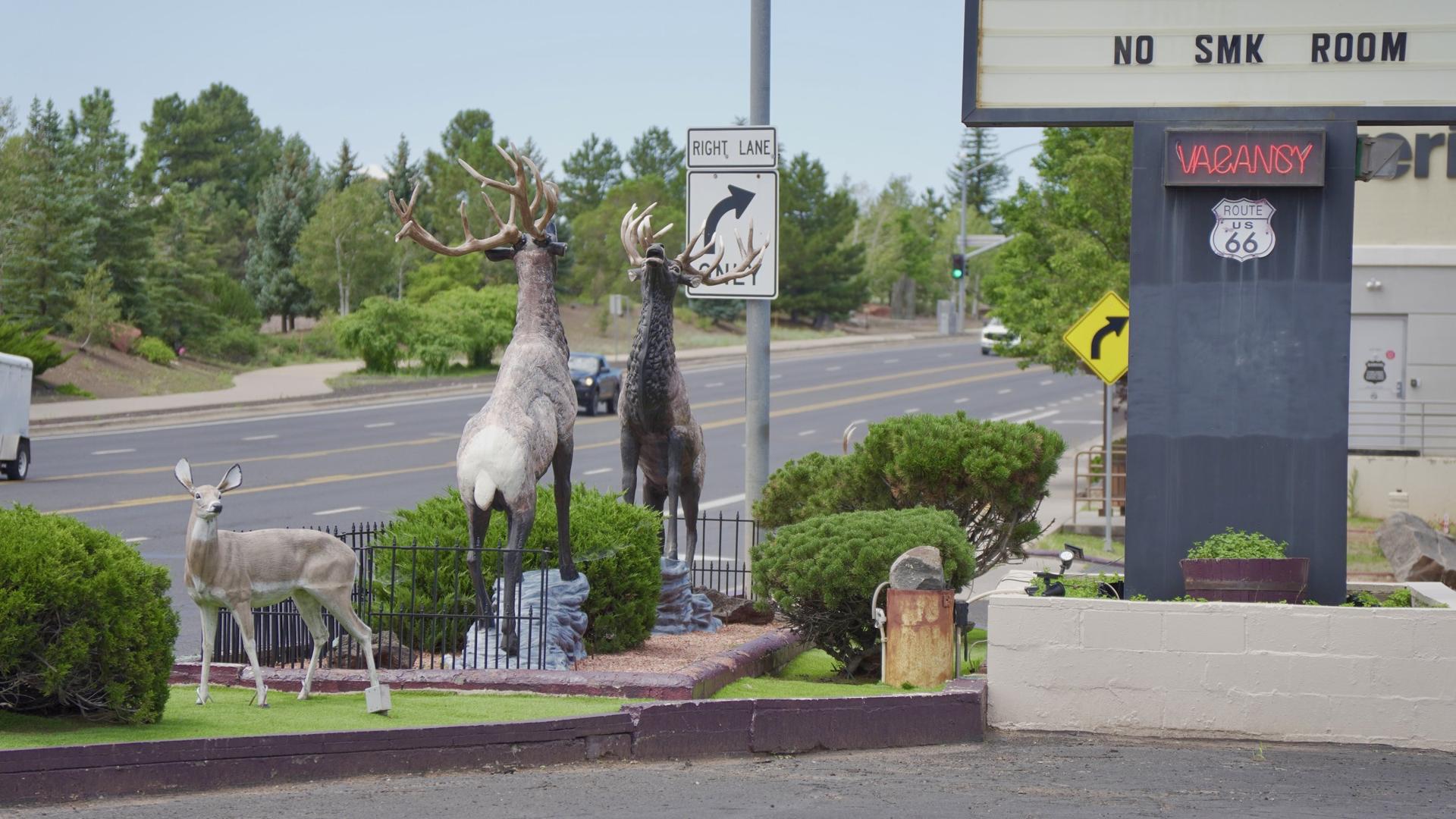 Elk and deer statues in front of the Route 66 sign